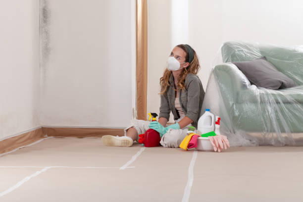 Reliable Mold Inspection contractor in Port Royal, PA by WQB Mold Removal