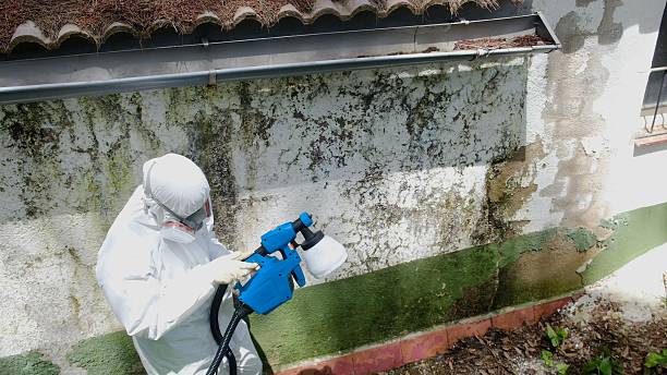 Top rated local Mold Inspection specialists in Port Royal, PA